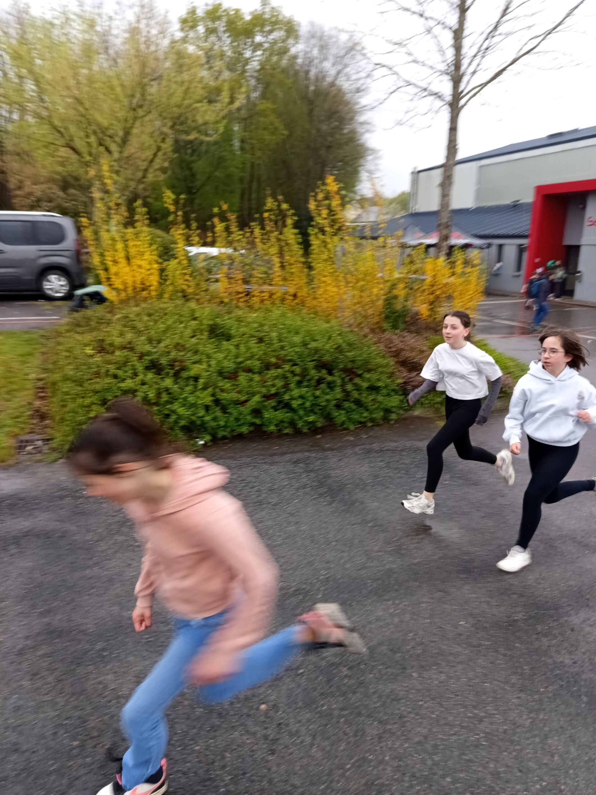 IMG_20260403_110428_1